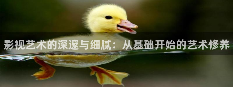 酷客影院手机在线观看免费：影视艺术的深邃与细腻：从基础开始的艺术修养