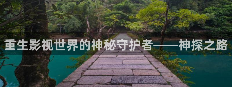 奇优影院在线观看酷客电影：重生影视世界的神秘守护者——神探之路