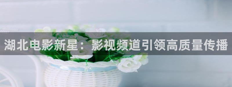 酷客影院手机免费版：湖北电影新星：影视频道引领高质量传播