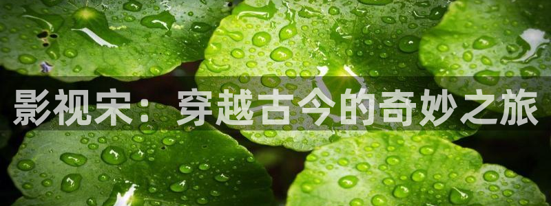 酷客影院手机在线电视剧免费：影视宋：穿越古今的奇妙之旅