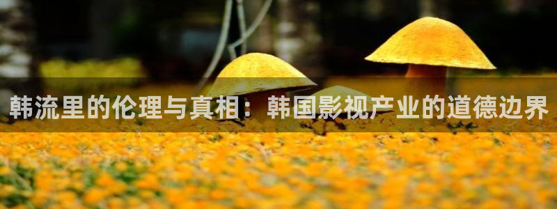 酷客在线影视免费观看：韩流里的伦理与真相：韩国影视产业的道德边界