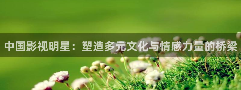 酷客影院善良的嫂子：中国影视明星：塑造多元文化与情感力量的桥梁