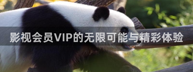 酷客影院2025免费观看：影视会员VIP的无限可能与精彩体验